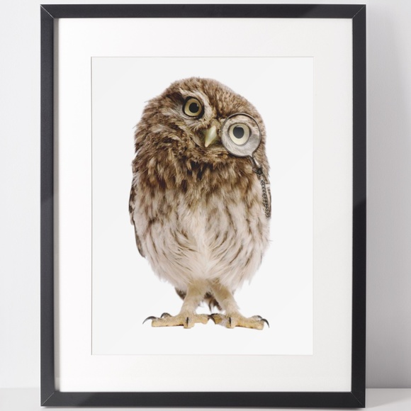 Owl Portrait Wall Art Print Poster Unframed - Picture 3 of 9